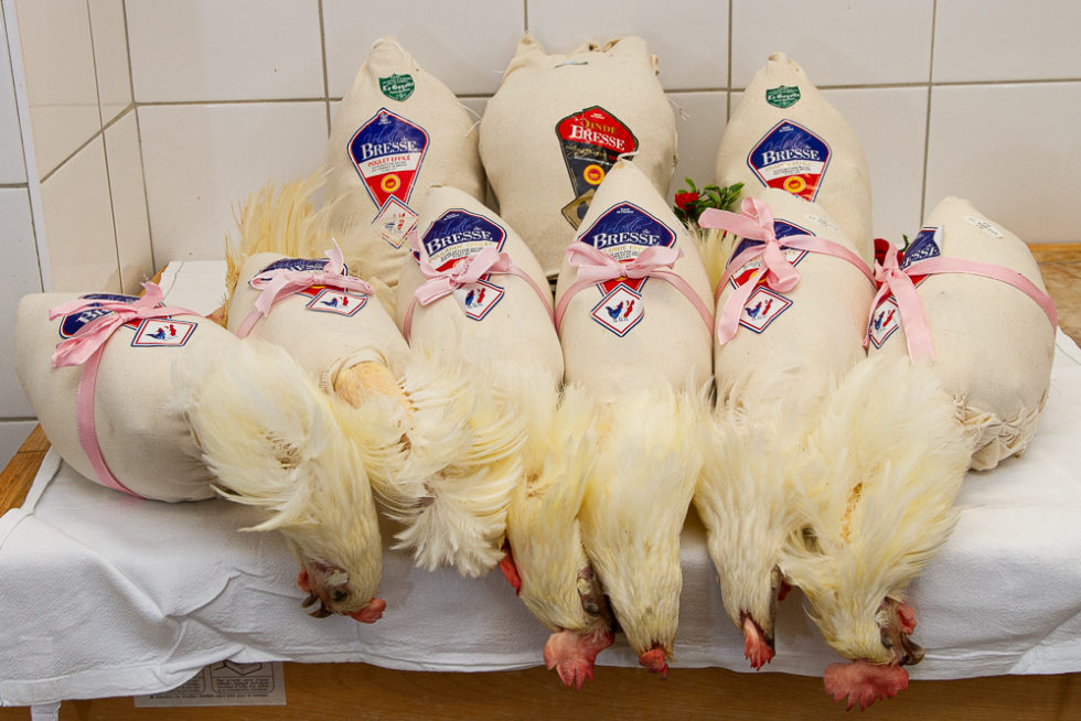 A bientôt, et très bonnes Fêtes à toutes et tous